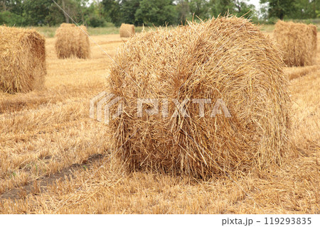 Hay bail harvesting in golden field landscape 119293835