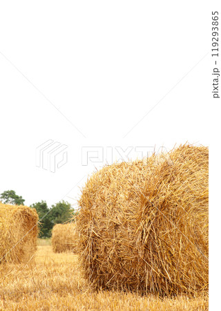 Hay bail harvesting in golden field landscape. Vertical photo 119293865