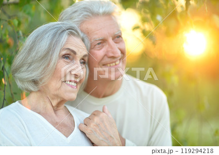 Portrait of beautiful senior couple posing in the park 119294218