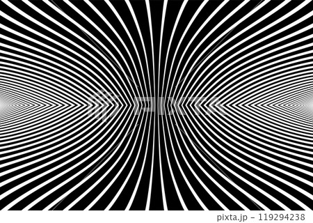 Abstract Geometric Lines Pattern. Black and White Textured Background. 119294238