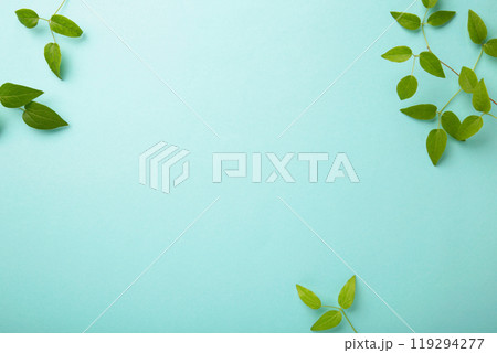 Green leaves on blue background with copy space. Green leaves on blue background with copy space. 119294277