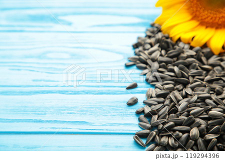 Sunflower with seeds on blue wooden background with copy space 119294396