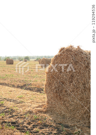 Hay bail harvesting in golden field landscape. Vertical photo Hay bail harvesting in golden field landscape. Vertical photo 119294536