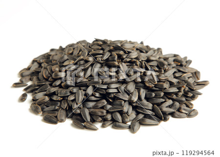 Sunflower seeds isolated on a white background 119294564