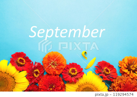 Hello September message with different autumn flowers on blue background. 119294574