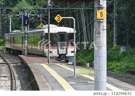飯田線　本長篠駅に到着する特急「伊那路」 119294632