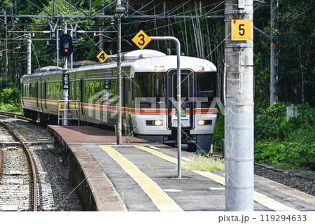 飯田線　本長篠駅に到着する特急「伊那路」 119294633