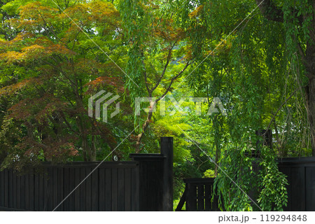 武家屋敷の庭 武家屋敷の庭 119294848