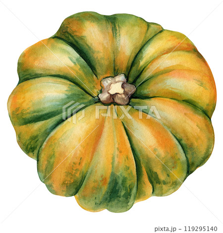 Whimsical decorative green pumpkin. Realistic autumn pumpkin, Botanical watercolor illustration for design, creative use 119295140