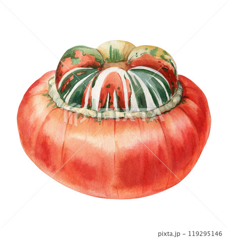 Whimsical decorative pumpkin. Realistic autumn pumpkin, Botanical watercolor illustration for design, creative use Whimsical decorative pumpkin. Realistic autumn pumpkin, Botanical watercolor illustration for design, creative use 119295146