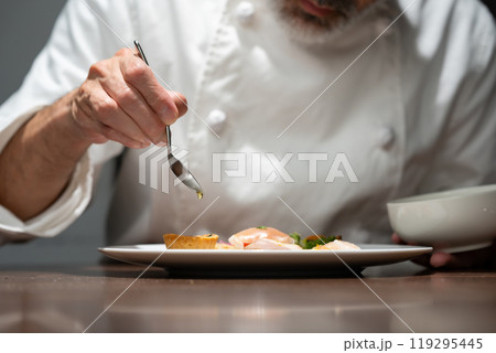 前菜を盛り付けるシェフ 手元 前菜を盛り付けるシェフ 手元 119295445