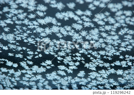 寒い氷点下の朝薄い氷の池のたまりに霜花の結晶1 119296242