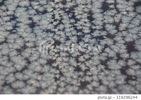 寒い氷点下の朝薄い氷の池のたまりに霜花の結晶3 119296244