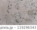 This image showcases a detailed close up of a beautifully designed marble counter top that features a striking marble texture across its surface 119296343