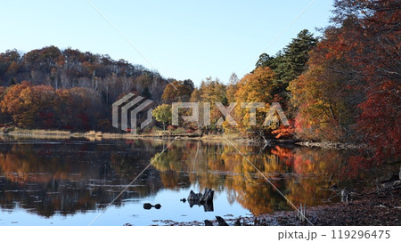 紅葉の観音沼　下郷町観音沼森林公園 119296475