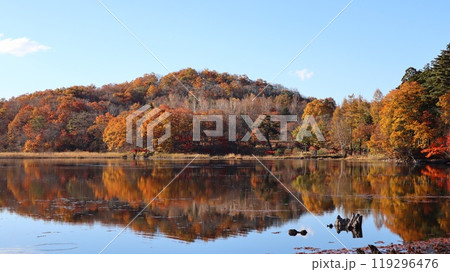 紅葉の観音沼　下郷町観音沼森林公園 119296476