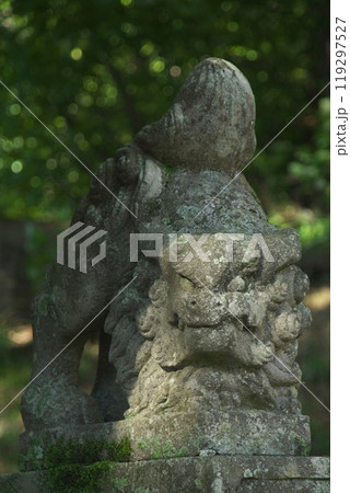 狛犬様 狛犬様 119297527