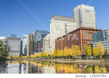 秋の東京都市風景 日比谷通りのイチョウ並木と高層ビル群【東京都・千代田区】 秋の東京都市風景 日比谷通りのイチョウ並木と高層ビル群【東京都・千代田区】 119297764