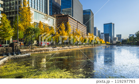 秋の東京都市風景　日比谷通りのイチョウ並木と高層ビル群【東京都・千代田区】 119297765