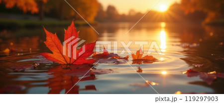 A bright red maple leaf gently floats on the surface of a calm body of water, reflecting the warm colors of sunset. The scene captures the beauty of nature and the peacefulness of autumn. A bright red maple leaf gently floats on the surface of a calm body of water, reflecting the warm colors of sunset. The scene captures the beauty of nature and the peacefulness of autumn. 119297903