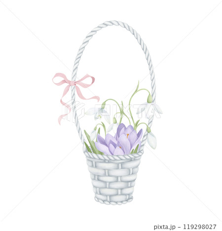 Wicker basket of purple crocuses and snowdrops with a pink ribbon. Delicate watercolor hand-drawn painting on a white background. Spring flower clipart for invitations, greetings, postcard design. Wicker basket of purple crocuses and snowdrops with a pink ribbon. Delicate watercolor hand-drawn painting on a white background. Spring flower clipart for invitations, greetings, postcard design. 119298027
