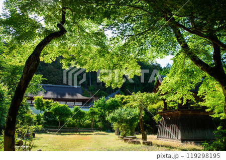 青葉がまぶしい京都の山寺　正伝寺 119298195