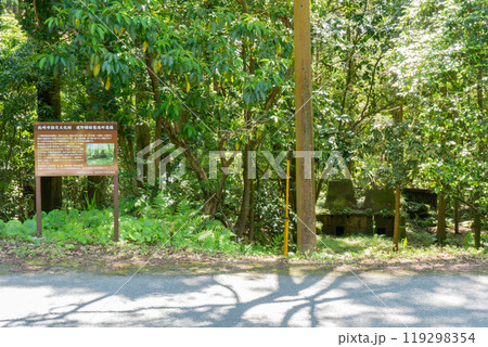 道野樟脳製造所遺構の風景 道野樟脳製造所遺構の風景 119298354