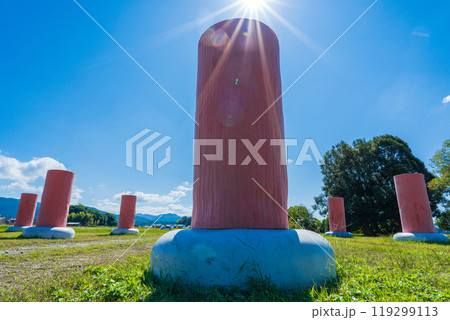 奈良県橿原市　史跡藤原宮跡　朝堂院南門の復元列柱 119299113