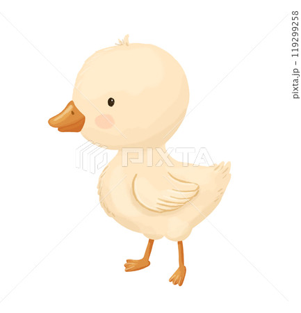 Cute duckling, baby bird, funny hand drawn watercolor illustration Cute duckling, baby bird, funny hand drawn watercolor illustration 119299258