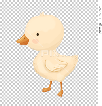 Cute duckling, baby bird, funny hand drawn watercolor illustration Cute duckling, baby bird, funny hand drawn watercolor illustration 119299258