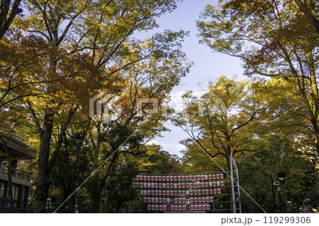 大國魂神社　酉の市　提灯 119299306