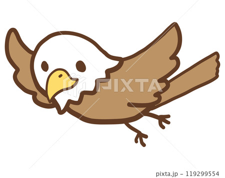 手描きの鷹 119299554