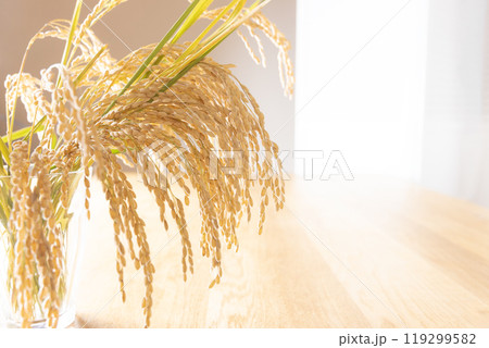 収穫した稲穂 収穫した稲穂 119299582