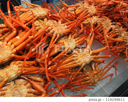 新潟・寺泊　魚の市場通り 119299611