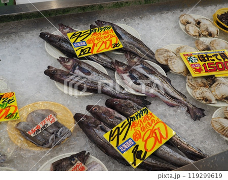 新潟・寺泊　魚の市場通り 119299619