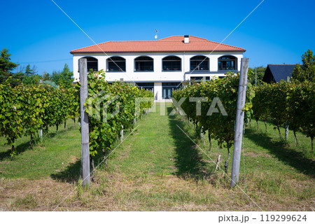 新潟　カーブドッチワイナリー 119299624