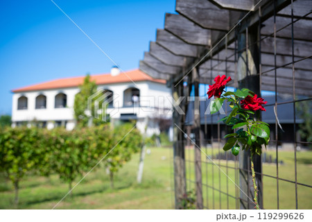 新潟 カーブドッチワイナリー 新潟 カーブドッチワイナリー 119299626