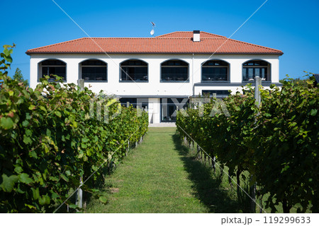 新潟　カーブドッチワイナリー 119299633