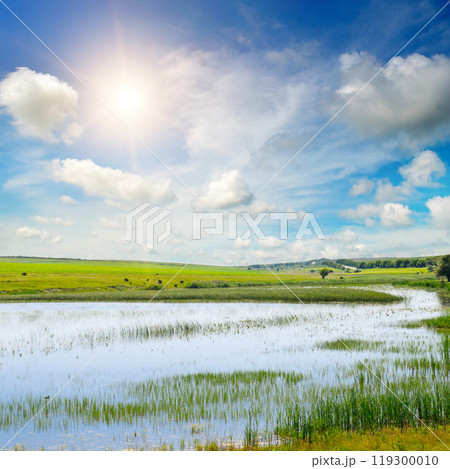 Lake with reeds, agricultural field and blue sky. 119300010