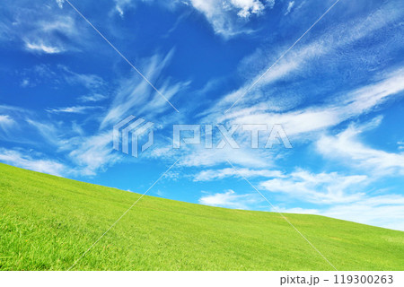 秋の青空と綺麗な草原風景 秋の青空と綺麗な草原風景 119300263