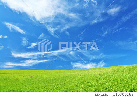 秋の青空と綺麗な草原風景 119300265
