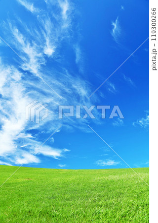 秋の青空と綺麗な草原風景 119300266
