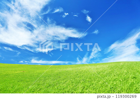 秋の青空と綺麗な草原風景 119300269