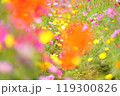 彩の世界 119300826