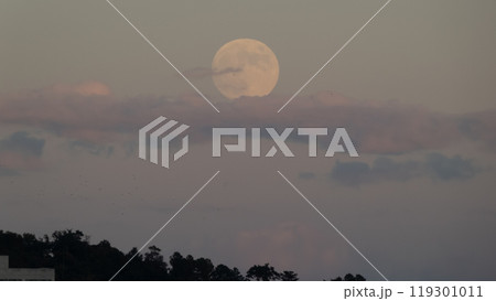 満月とピンク色の空 満月とピンク色の空 119301011