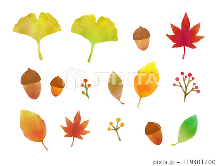 イチョウ 紅葉 モミジ 秋の葉っぱ 119301200