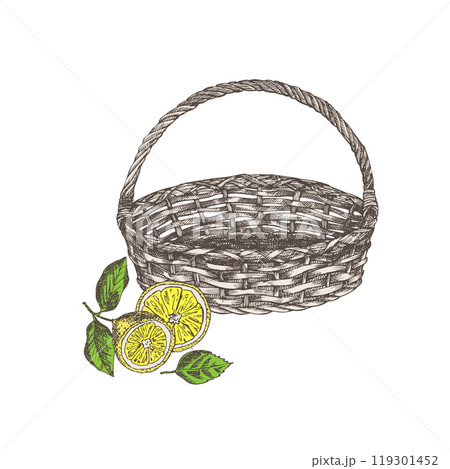 Empty wicker basket . Near lemons. Hand drawn sketch citrus fruit, retro rustic style. Idea for farmers market flyers, banner, advertising. Colored vintage vector illustration. Isolated on white. 119301452