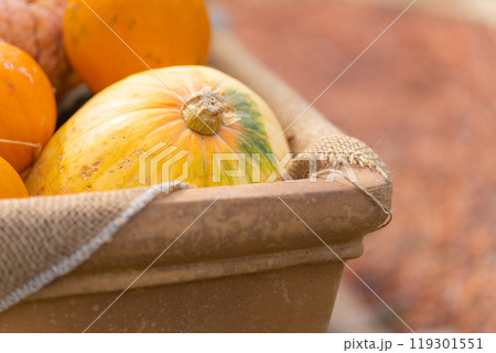 ハロウィン・イベント イメージ ハロウィン・イベント イメージ 119301551