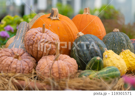 ハロウィン・イベント イメージ ハロウィン・イベント イメージ 119301571