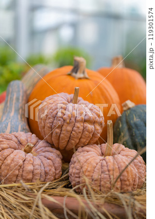 ハロウィン・イベント イメージ ハロウィン・イベント イメージ 119301574